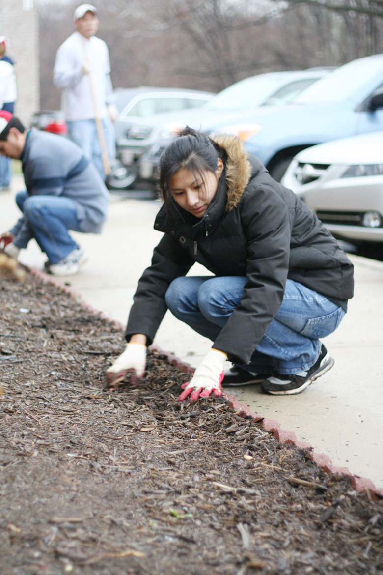 032809-mulch (23).jpg